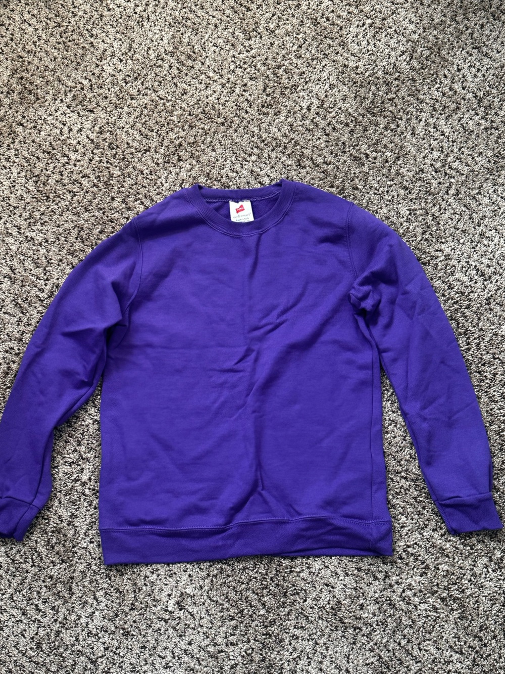 Hanes EcoSmart Unisex Youth Large Purple Crewneck Sweatshirt Pullover